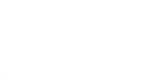 logo MSM Land Systems